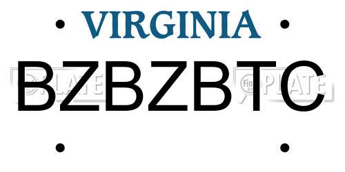 BZBZBTC Virginia License Plate