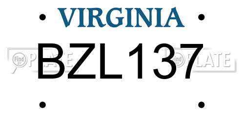 BZL137 Virginia License Plate