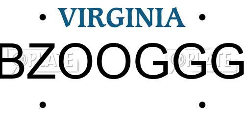 BZOOGGG Virginia License Plate