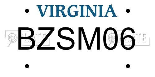 BZSM06 Virginia License Plate