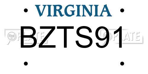 BZTS91 Virginia License Plate