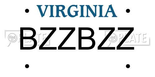 BZZBZZ Virginia License Plate