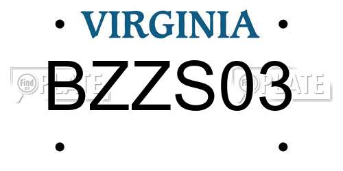 BZZS03 Virginia License Plate