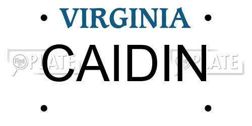CAIDIN Virginia License Plate