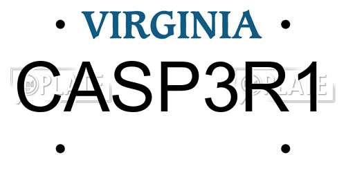 CASP3R1 Virginia License Plate