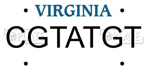 CGTATGT Virginia License Plate