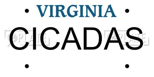 CICADAS Virginia License Plate