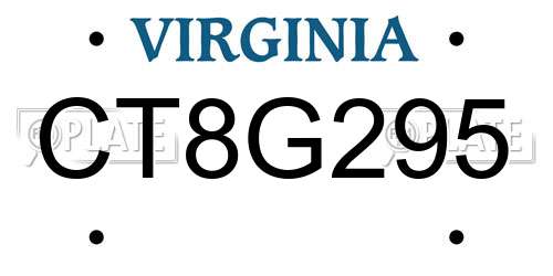 CT8G295 Virginia License Plate