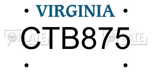 CTB875 Virginia License Plate