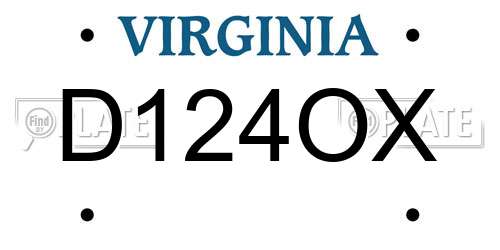 D124OX Virginia License Plate