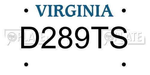 D289TS Virginia License Plate