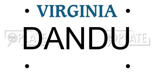 DANDU Virginia License Plate