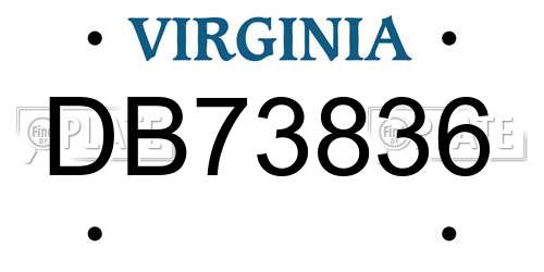 DB73836 Virginia License Plate