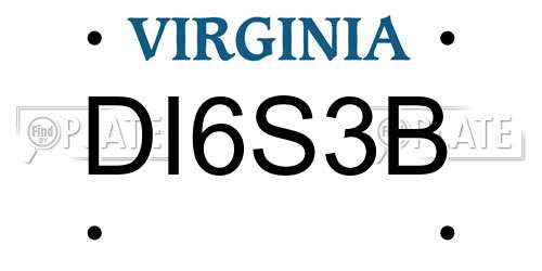 DI6S3B Virginia License Plate