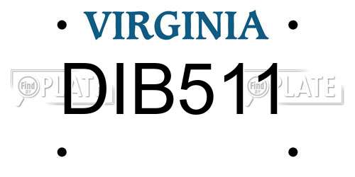 DIB511 Virginia License Plate
