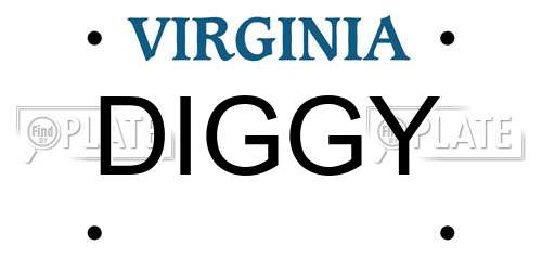 DIGGY Virginia License Plate