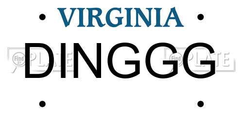 DINGGG Virginia License Plate