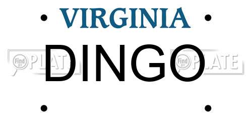 DINGO Virginia License Plate