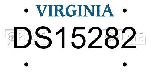 DS15282 Virginia License Plate