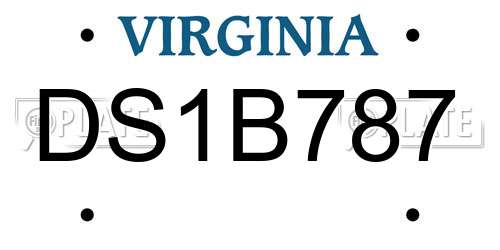 DS1B787 Virginia License Plate