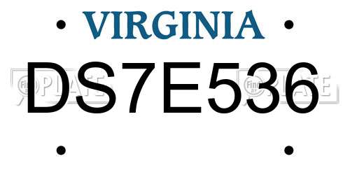 DS7E536 Virginia License Plate