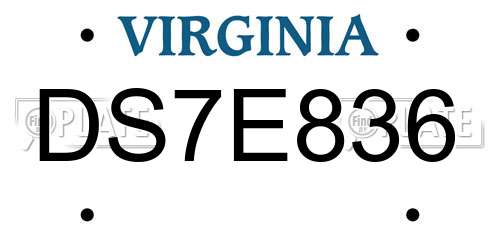 DS7E836 Virginia License Plate