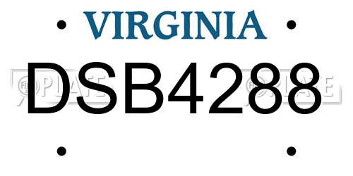 DSB4288 Virginia License Plate