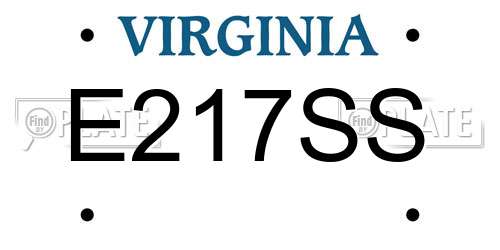 E217SS Virginia License Plate