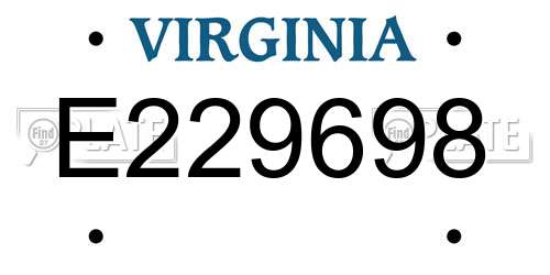 E229698 Virginia License Plate