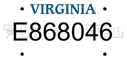 E868046 Virginia License Plate