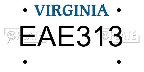 EAE313 Virginia License Plate