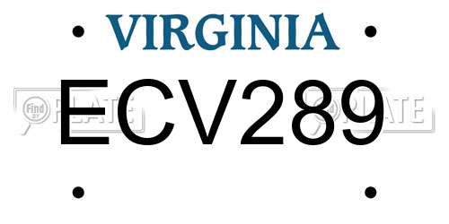 ECV289 Virginia License Plate