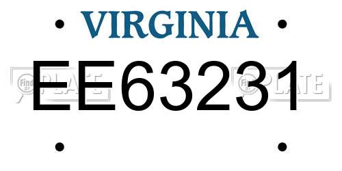 EE63231 Virginia License Plate