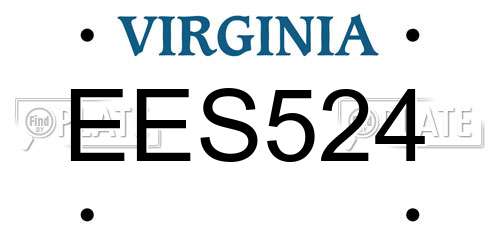 EES524 Virginia License Plate