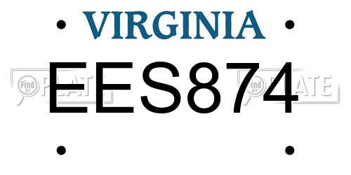 EES874 Virginia License Plate