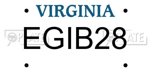 EGIB28 Virginia License Plate