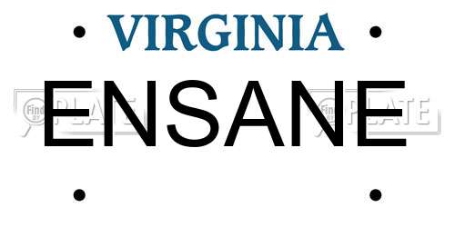 ENSANE Virginia License Plate
