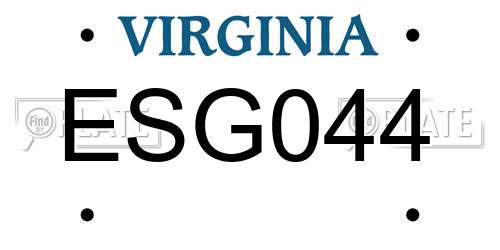 ESG044 Virginia License Plate