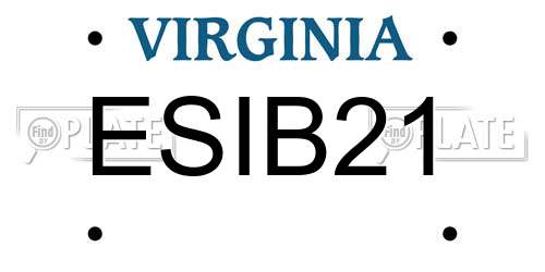 ESIB21 Virginia License Plate