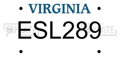 ESL289 Virginia License Plate