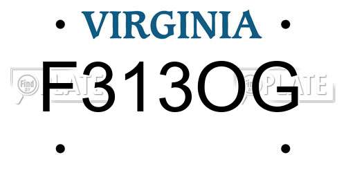 F313OG Virginia License Plate