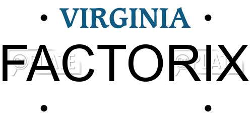 FACTORIX Virginia License Plate