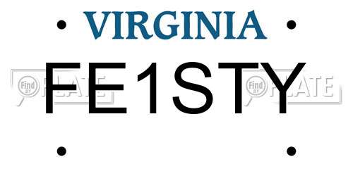 FE1STY Virginia License Plate