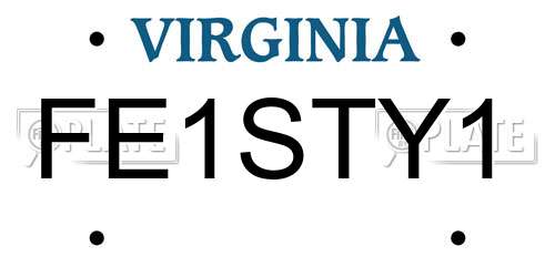 FE1STY1 Virginia License Plate