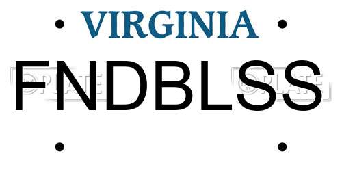 FNDBLSS Virginia License Plate