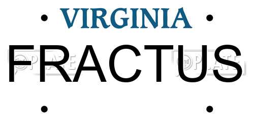 FRACTUS Virginia License Plate