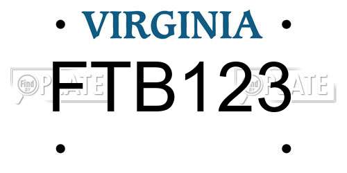 FTB123 Virginia License Plate