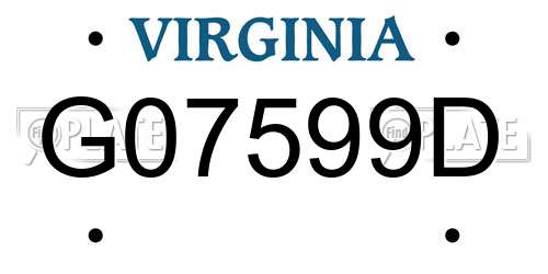 G07599D Virginia License Plate
