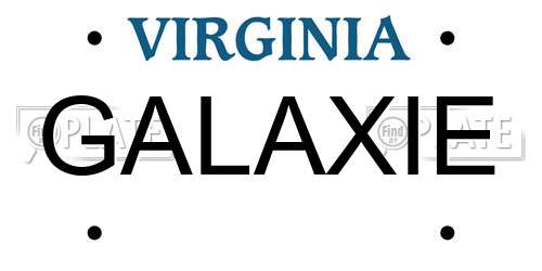 GALAXIE Virginia License Plate