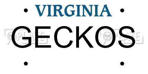 GECKOS Virginia License Plate